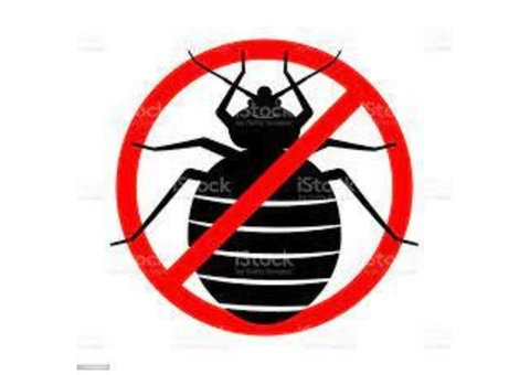 Flatline Pest Control - Bugs Control Central Coast