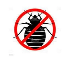 Flatline Pest Control - Bugs Control Central Coast