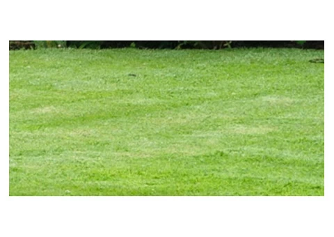 Soft Landscape Design | Soft Landscaping Melbourne | Bayside Gardening