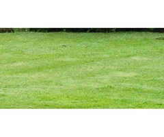 Soft Landscape Design | Soft Landscaping Melbourne | Bayside Gardening