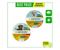 Having ticks and fleas on your pet is a pain. Get rid of them all.