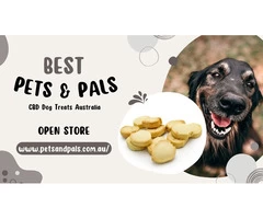Buy Best Quality CBD Dog treats Australia for Dog Anxiety