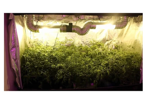 Hydroponics Equipment Supplier Central Coast