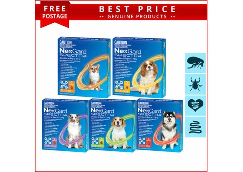 NEXGARD SPECTRA for All Sizes Dogs Flea Heartworm Tick and Worm Control 3 Doses