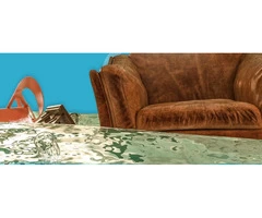 Wet Carpet Cleaning Sydney