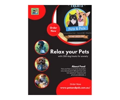 Relax your furry friend with CBD dog treats for anxiety - Order Now