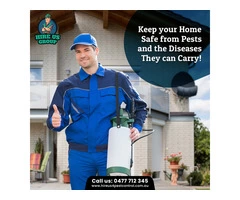 Live Bee-free With Professional Bee Hive Removal Services in Melbourne