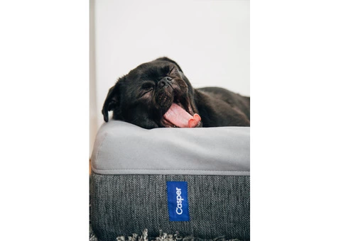 Reliable Mattress Cleaner in Brisbane