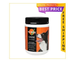 Rose Hip Vital Powder will keep your pet's joints healthy.