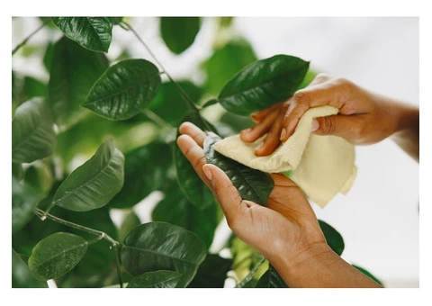 Professional Cleaning Services You Can Count On: Sparkle Office - Your Partner for a Clean Space - 2/5