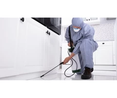 Are Some Pests Reluctant To Leave Your House?