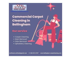 Bellingham's Premier Commercial Carpet Cleaning Services