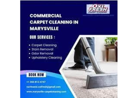 Affordable and Reliable Commercial Carpet Cleaning in Marysville