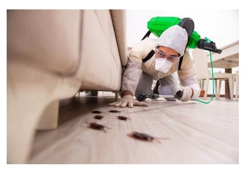 "The Sparkle Solution - Comprehensive House, Office, and Commercial Cleaning" - 4/5