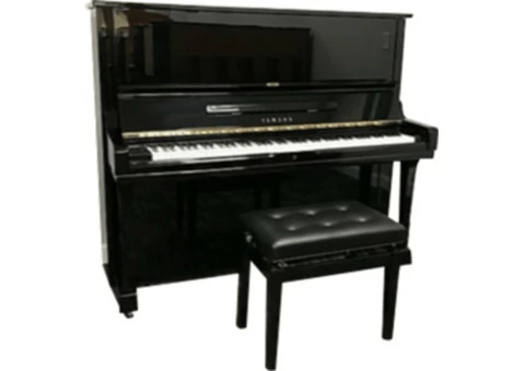 Top-notch Piano Lesson in Melbourne