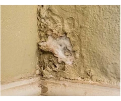 Rising Damp Sutherland Shire