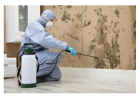 Professional Pest Control in Alkimos