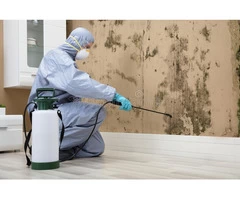 Professional Pest Control in Alkimos