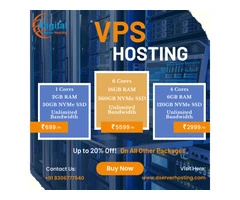Dserver’s VPS hosting solutions: Let You Focus To Grow Your Business