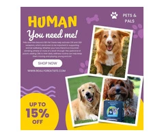 Treat Your Dog's Anxiety with CBD Dog Treats