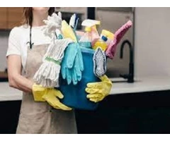 Pest Control Gold Coast    