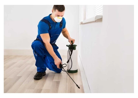 Comprehensive Pest Inspection - Pest Australia