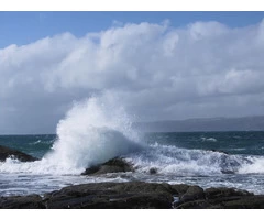 What do you know about cullipool?