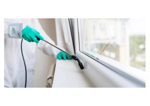 Pest Inspection Important Before Buying a House
