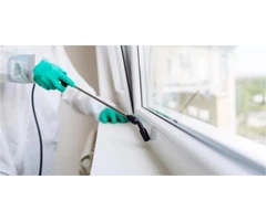 Pest Inspection Important Before Buying a House