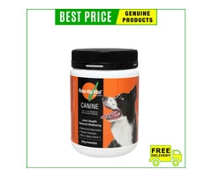 Rose Hip Vital Powder: The Key to Healthy Pet Joints