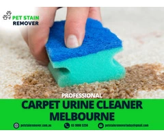 Professional Carpet Urine Cleaner in Melbourne | Call @ 03 9000 5256