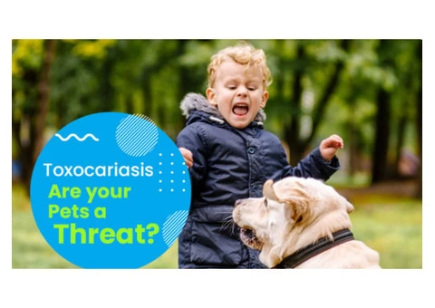 Learn How to Prevent Toxocariasis from Top Daycare Near Me in Nollamara