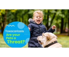 Learn How to Prevent Toxocariasis from Top Daycare Near Me in Nollamara
