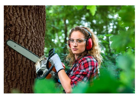Get the best Tree Cutting services in Lane cove, NSW