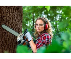 Get the best Tree Cutting services in Lane cove, NSW