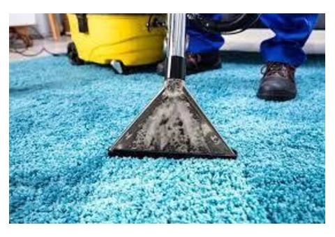 Why Is Carpet Cleaning Tarneit Necessary?