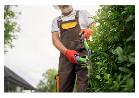 Find the best Tree Services in Sydney from Universal Tree Care