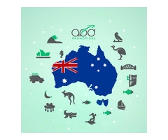 Online Merchandise Store