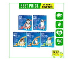 Nexgard Spectra keeps fleas, ticks, and all types of worms at bay.