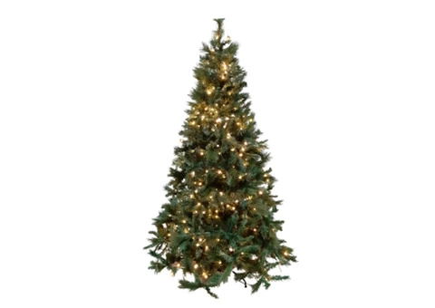 Stunning Range Of Christmas Trees in Tasmania