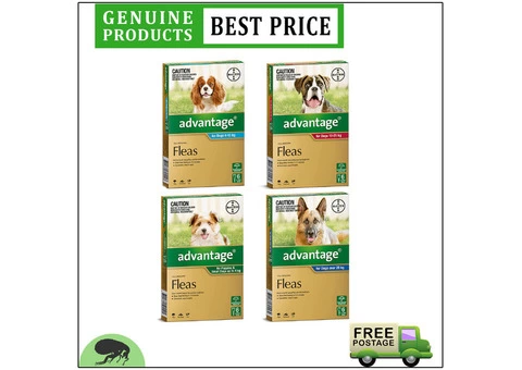 Fleas and Flea control in cats