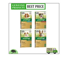 Fleas and Flea control in cats