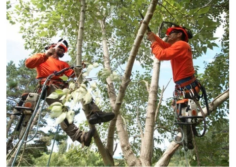 Get Quality demolition Sydney - Anesti Excavation & Demolition - 4/4