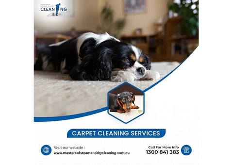 Carpet Cleaner Service