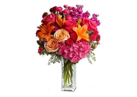 Online Flowers delivery in Australia | Order till 5 pm for Same Day Delivery - 1/3