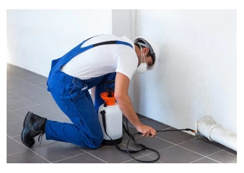 Pest Control Brisbane South - Pest Australia