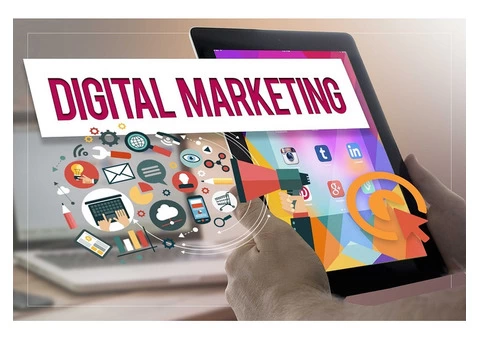 Build a Digital Culture with Beedev - #1 Digital Consulting in Sydney