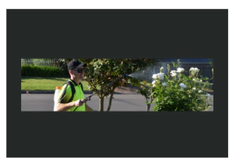 Pressure Cleaning Services Provider in Canberra