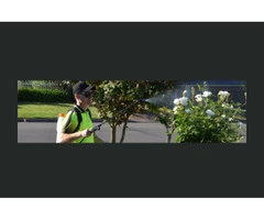 Pressure Cleaning Services Provider in Canberra