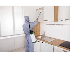 Did You Notice Any Of The Pests Is Increasing Their Family?